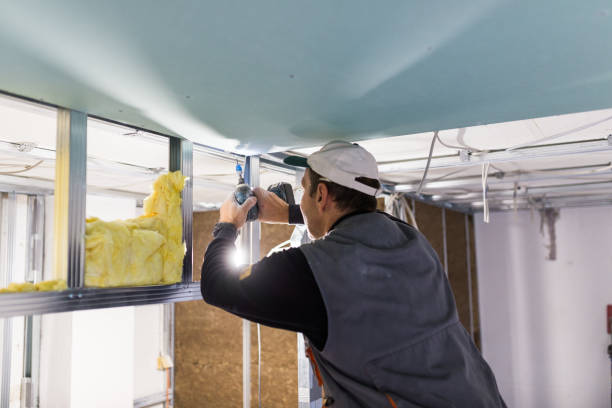 Best Commercial Insulation in Okauchee Lake, WI